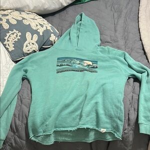 Patagonia Blue Hoodie Sweater